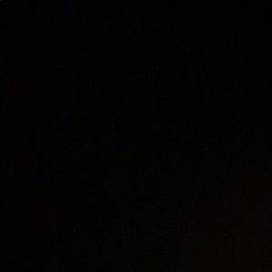 Meet your Posher, Elsa